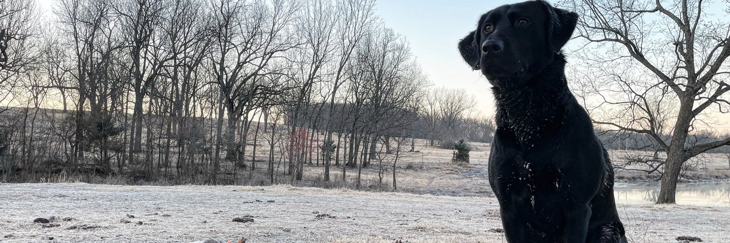 GarrettMaher's profile banner image