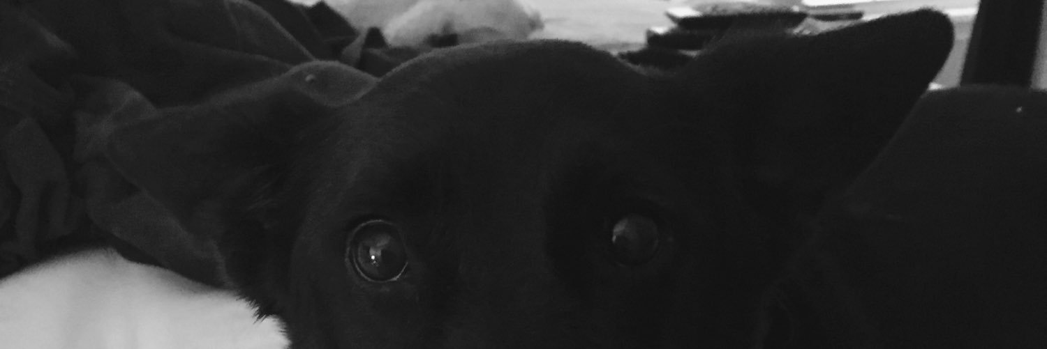 jyll_graney's profile banner image