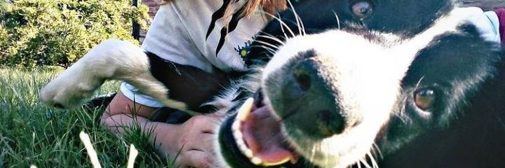 RoselaBiagetti's profile banner image