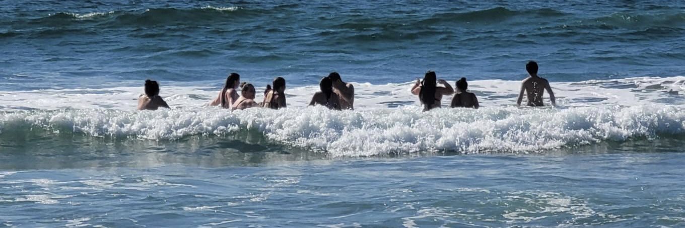 Maya Applebaum banner