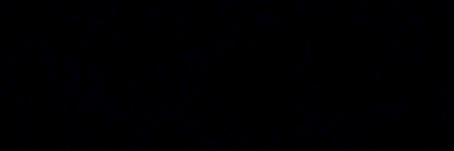 neko_08_04's profile banner image