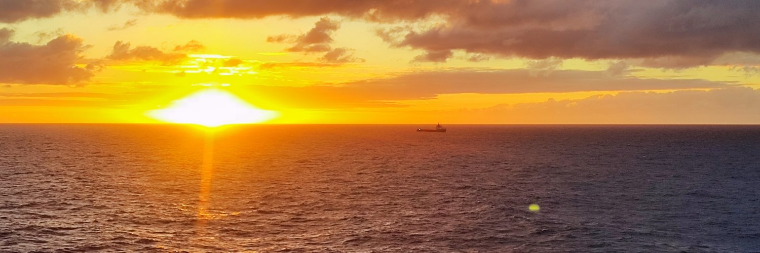 brseuffitelli's profile banner image