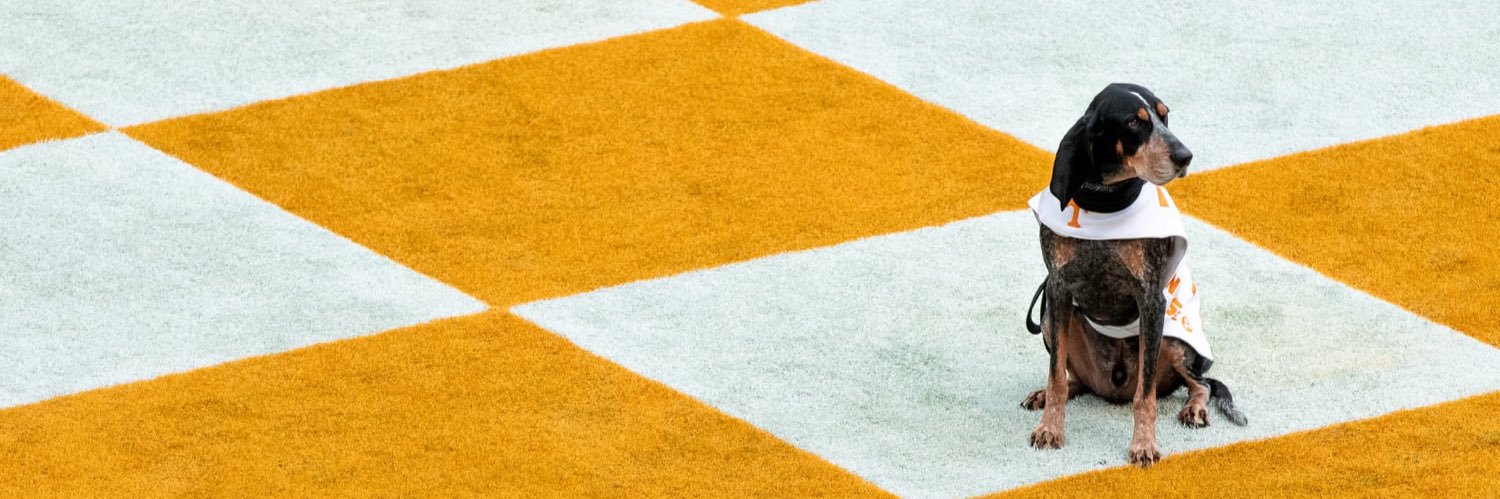 jaypetterson's profile banner image