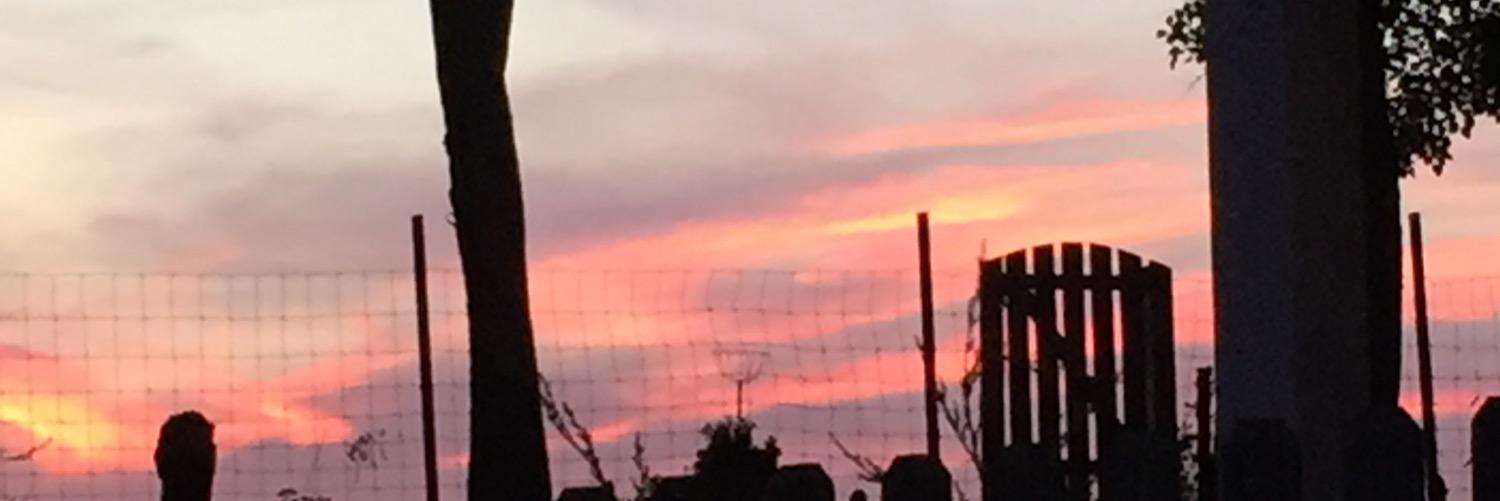 wsageser's profile banner image
