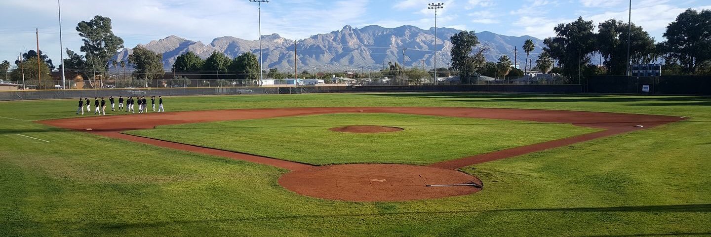 Amphi Panthers ⚾️ banner