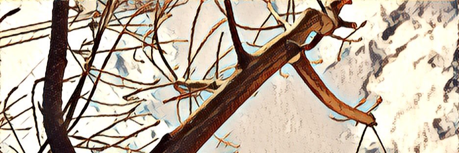 mercado021's profile banner image