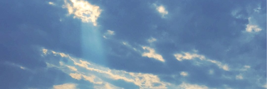 Ray_Chuul's profile banner image