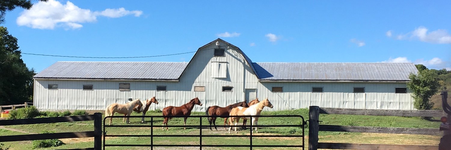 showoneequine's profile banner image