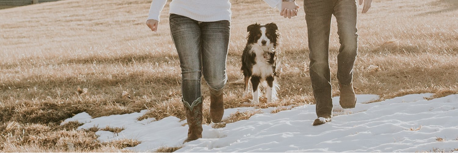 lexipkellner's profile banner image