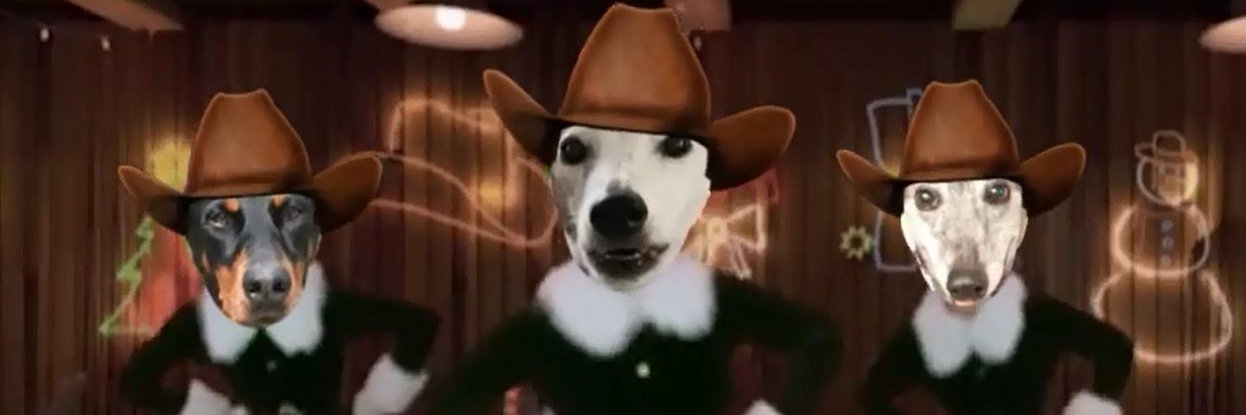 DoberMom2's profile banner image