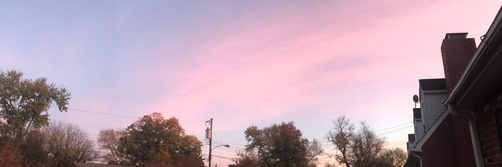Figuress__'s profile banner image