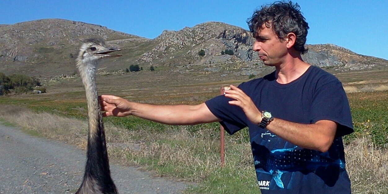 Surbuceo's profile banner image