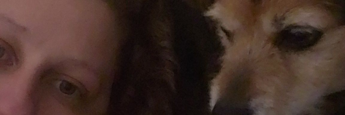 aystrickland's profile banner image