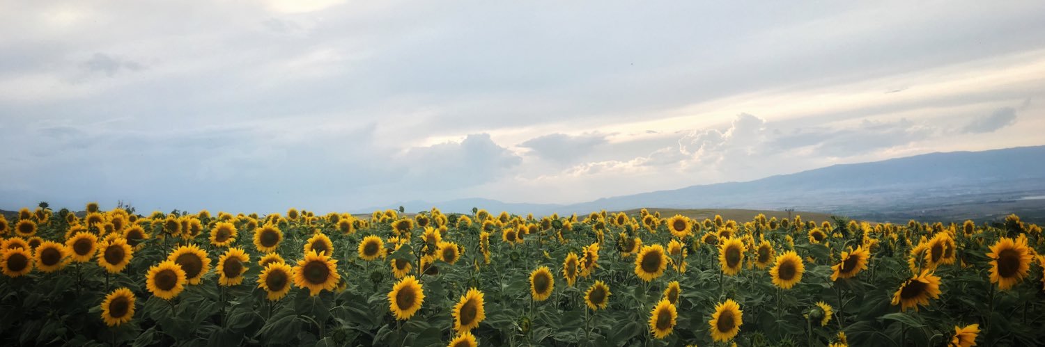 tjmutludogan's profile banner image