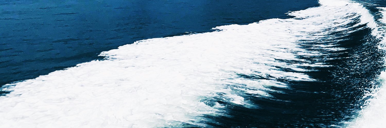 ipekuskuay's profile banner image