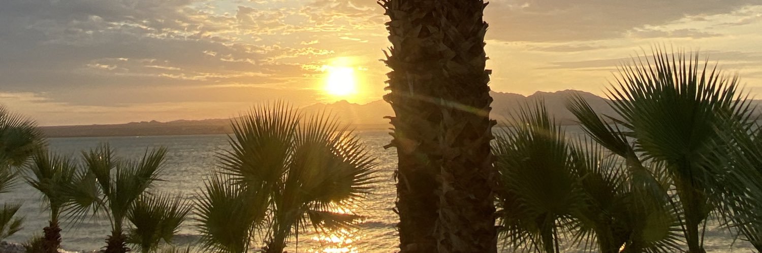 armando j zavala banner