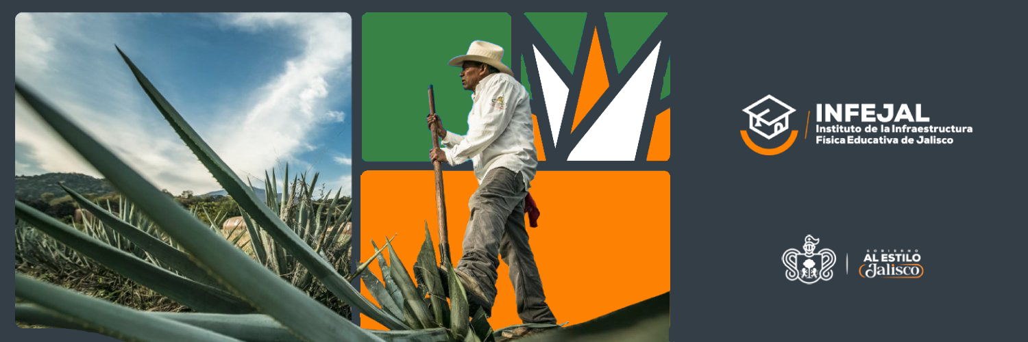 Rodrigo Mariaud banner