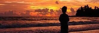4de5c81a8a1641b's profile banner image