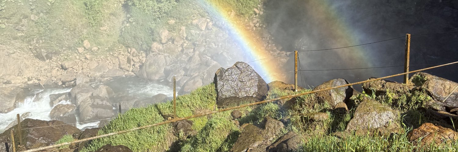 whyubeingweird's profile banner image