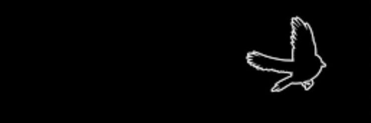 brummiekim57_'s profile banner image