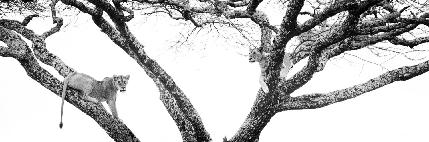 jordanarranfry's profile banner image
