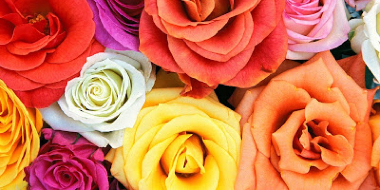 iSmil3_11's profile banner image