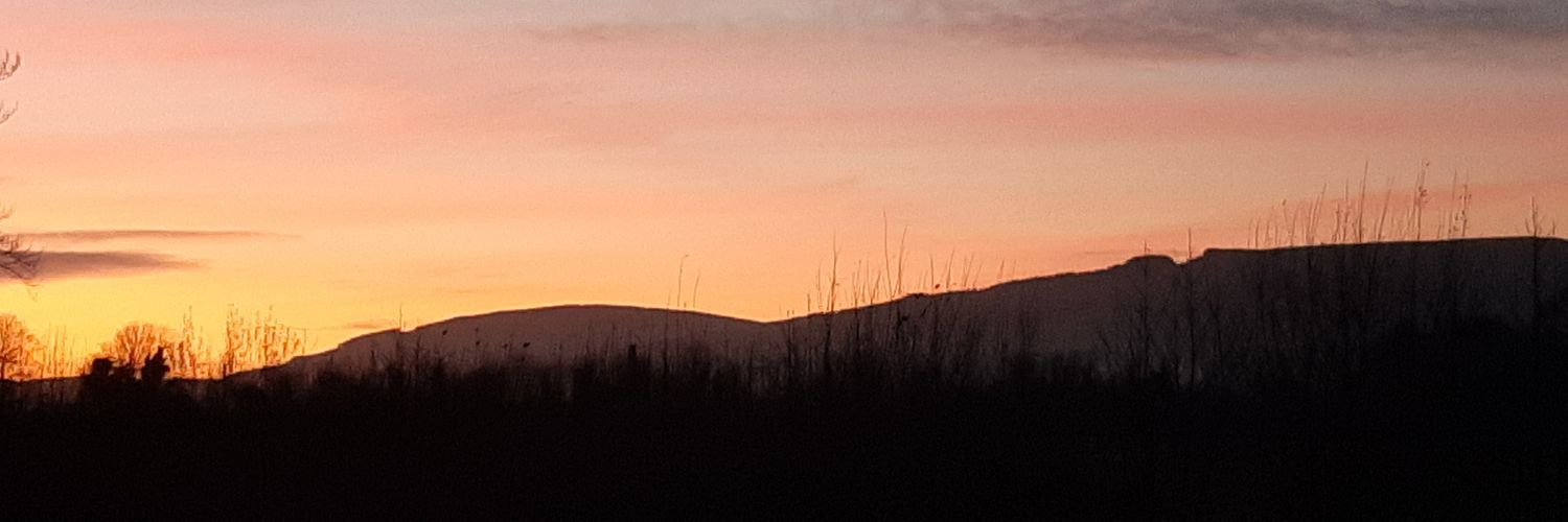 iTapricia's profile banner image