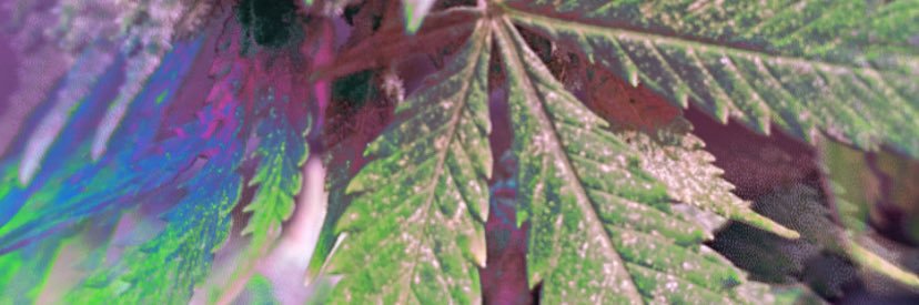 HollerichJudson's profile banner image