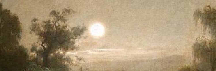 stardustxashes's profile banner image