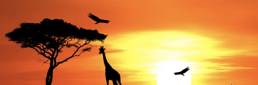 cocoxco_'s profile banner image