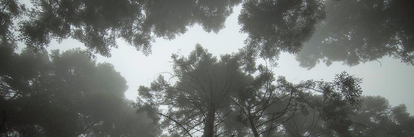 nadni77's profile banner image