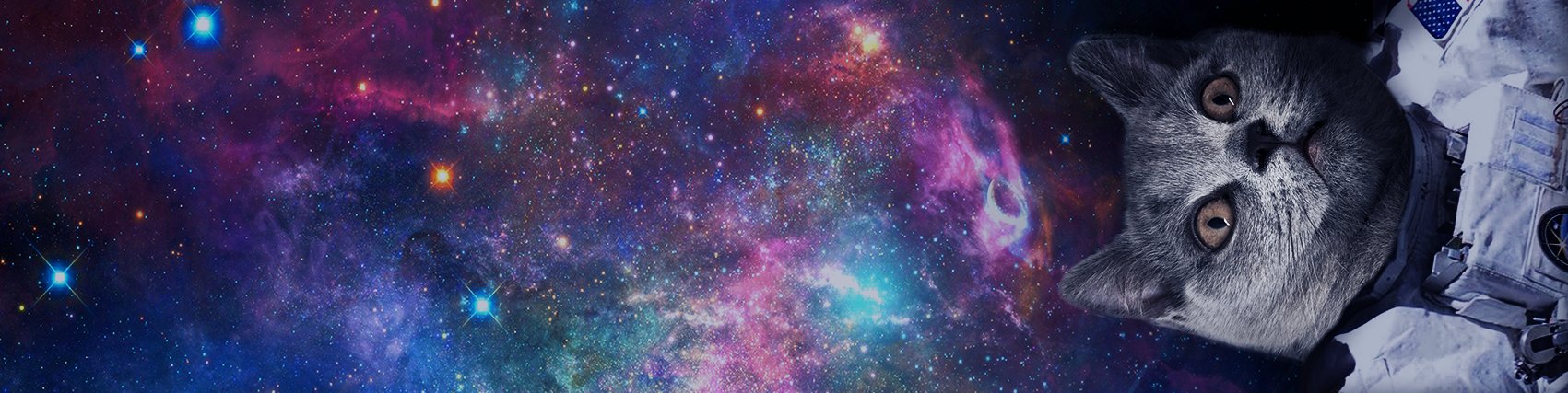 PRMRE's profile banner image