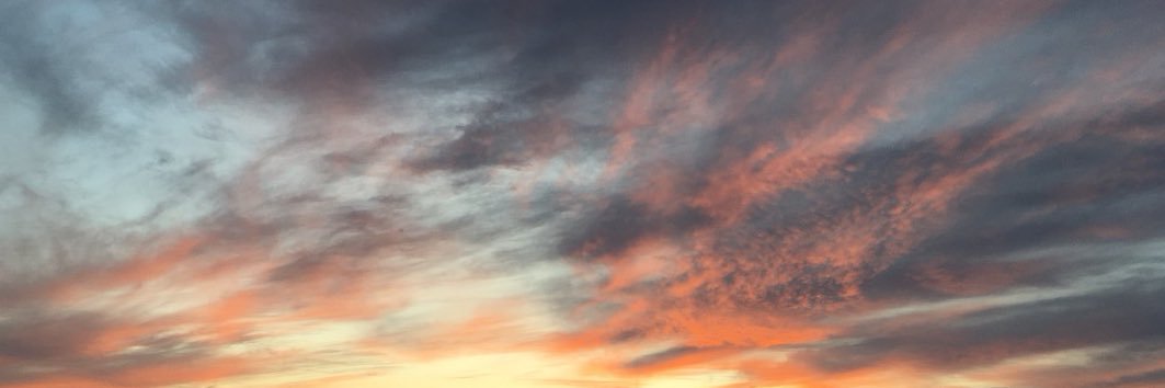 EmilyPikul's profile banner image