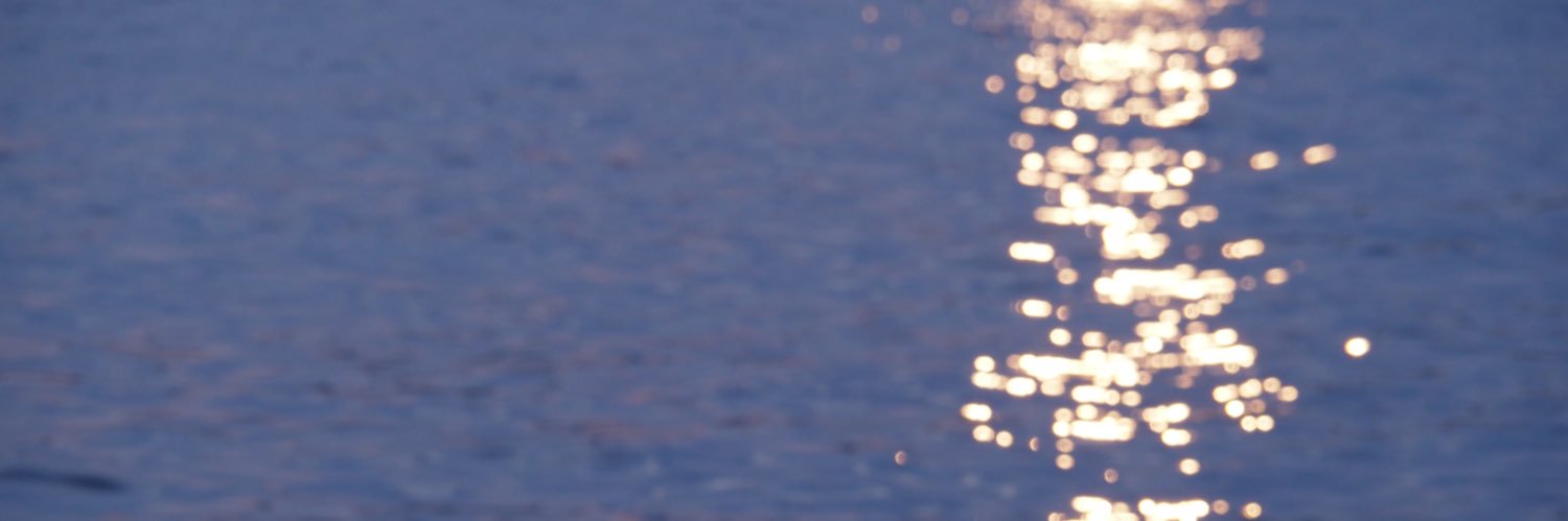 EeseChee's profile banner image
