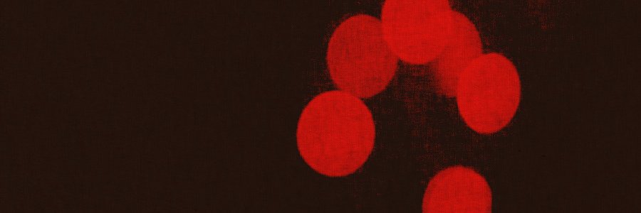 YungSidequest's profile banner image