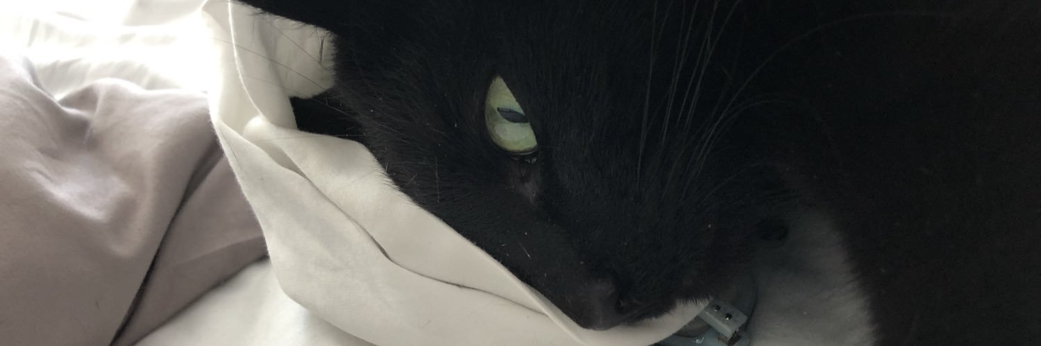 lizstasio30's profile banner image