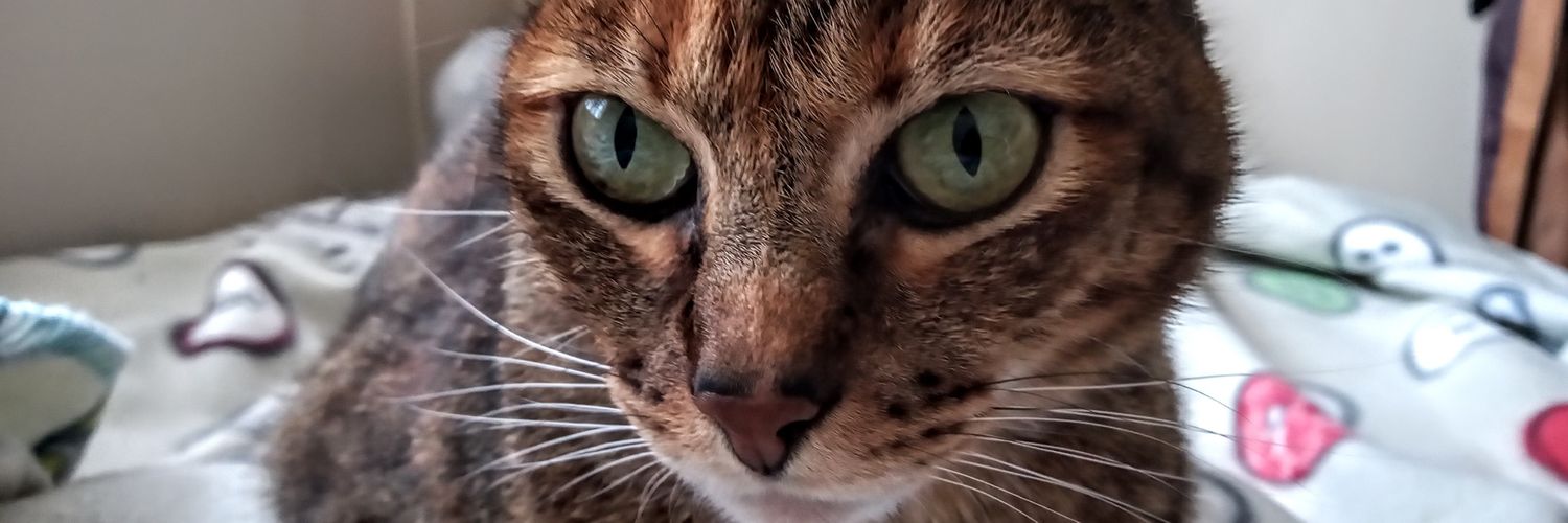 samiguacaneme's profile banner image