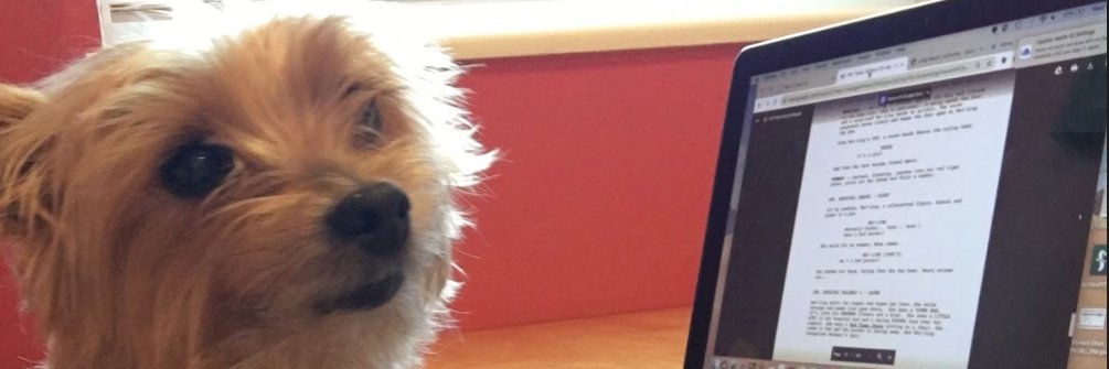 veraygood's profile banner image