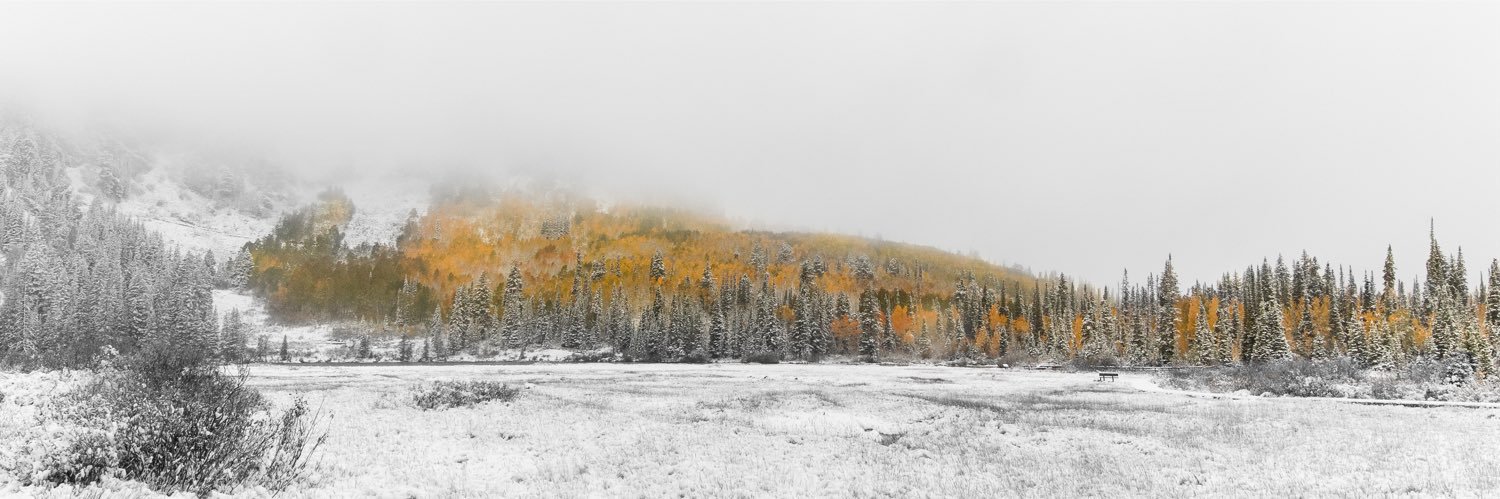 Pierce Darragh | pdarragh@types.pl | 🦆 banner