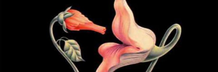 liiving_legend's profile banner image