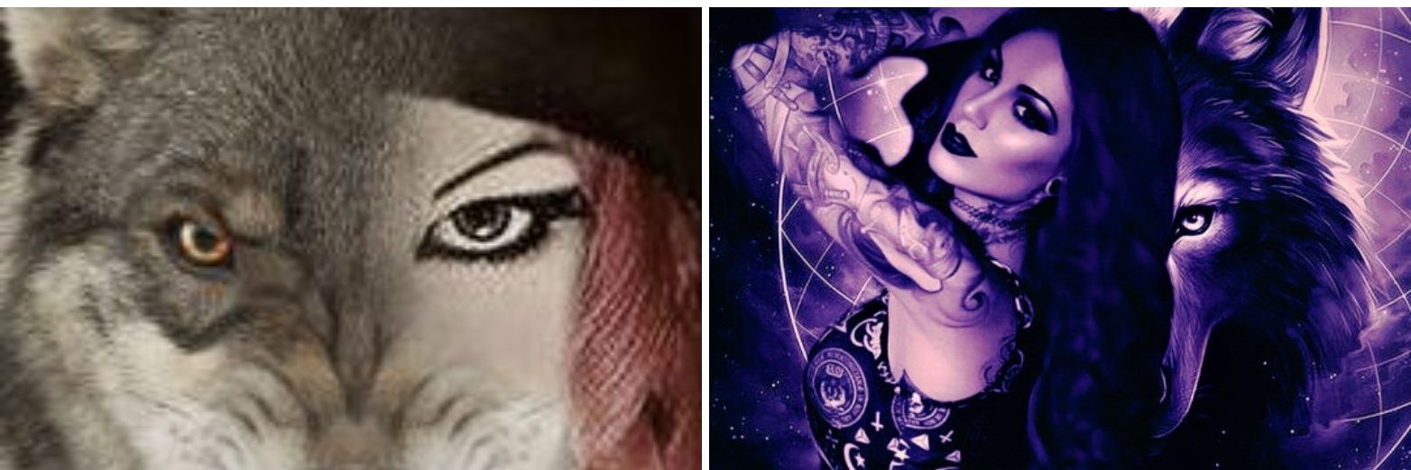 WulfMasquerade's profile banner image
