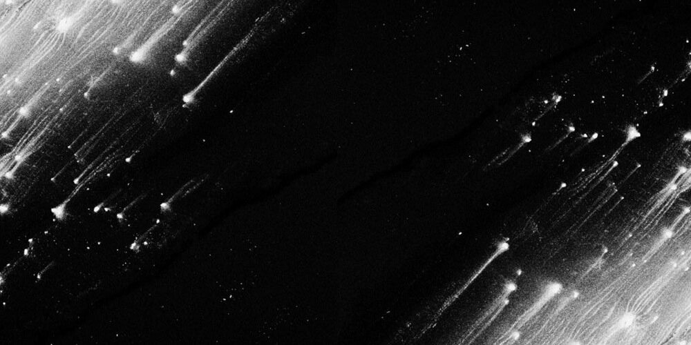 eniie's profile banner image