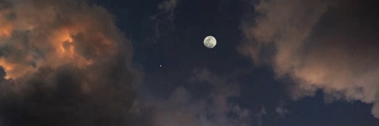 Mlvp21's profile banner image