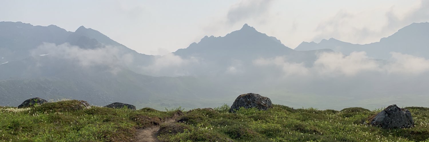 LadyElle99's profile banner image