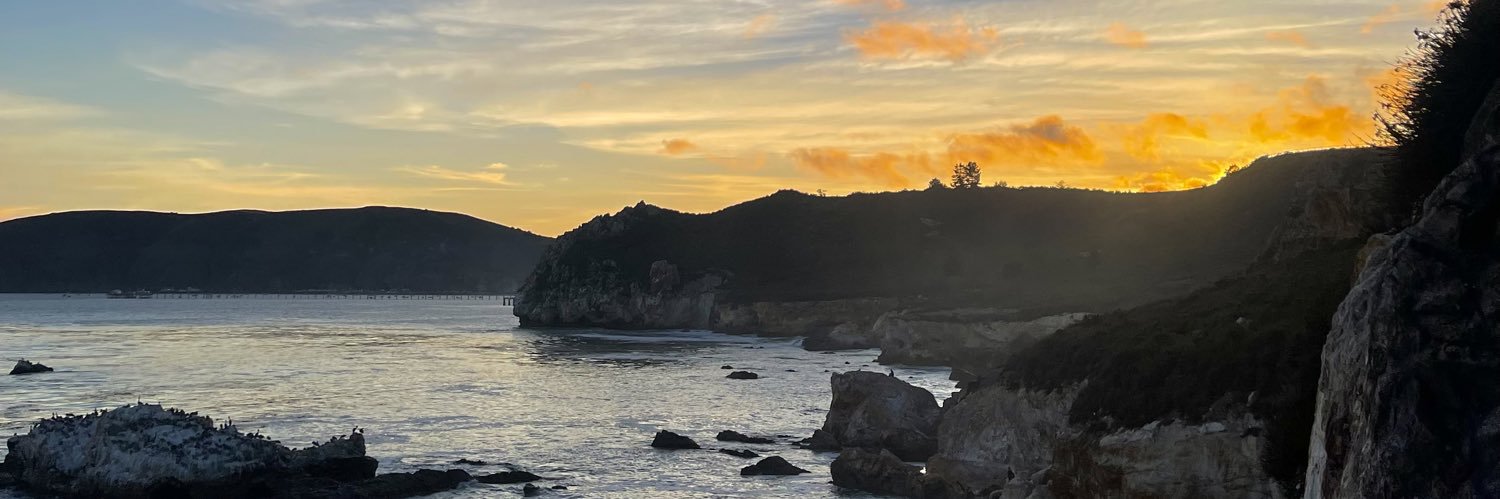 leonardo menchaca banner