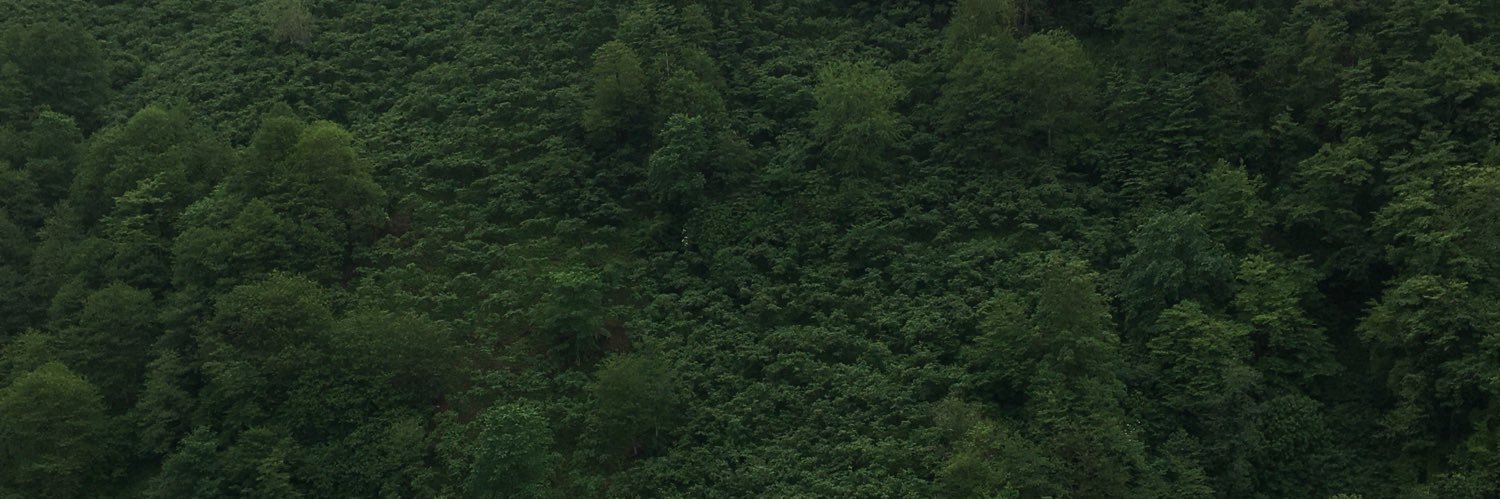 berraayildiz's profile banner image