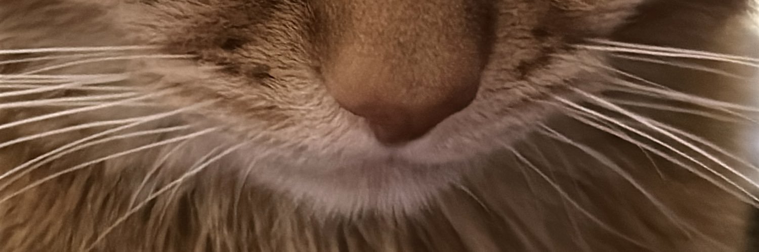 keepmesick's profile banner image