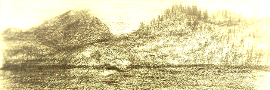 IlonaRapp's profile banner image