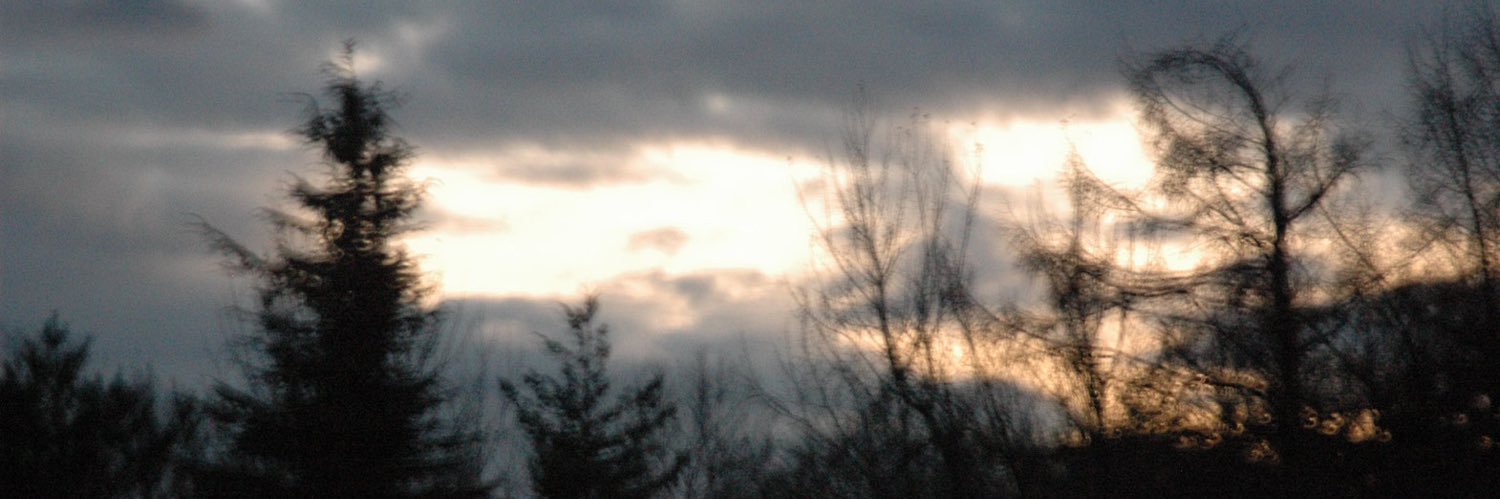24__nsjm's profile banner image