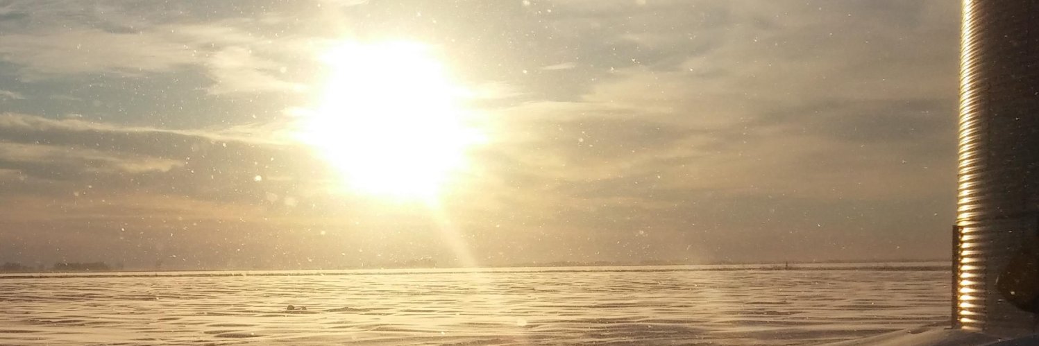 JangleRocks's profile banner image
